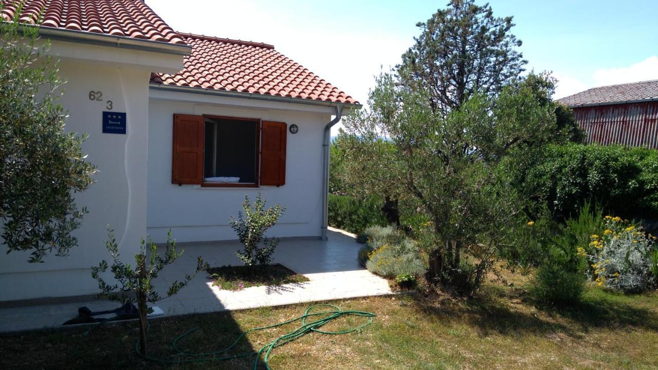Apartman Ruza Brzac Exteriér fotografie