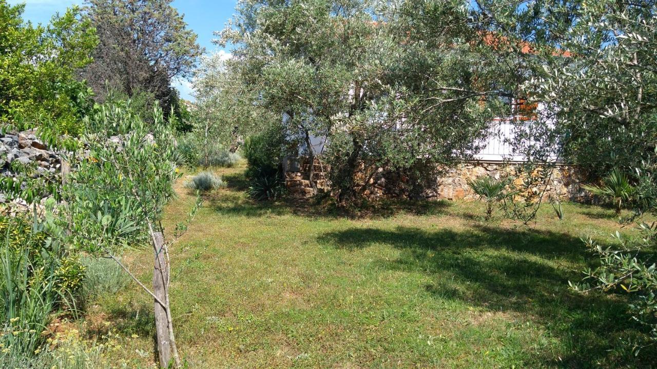 Apartman Ruza Brzac Exteriér fotografie
