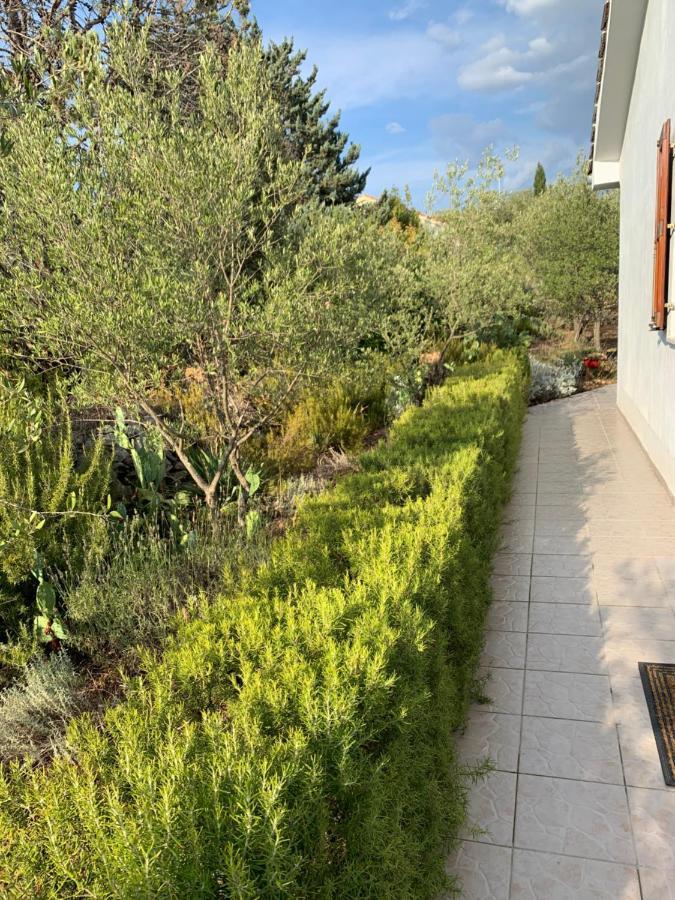 Apartman Ruza Brzac Exteriér fotografie