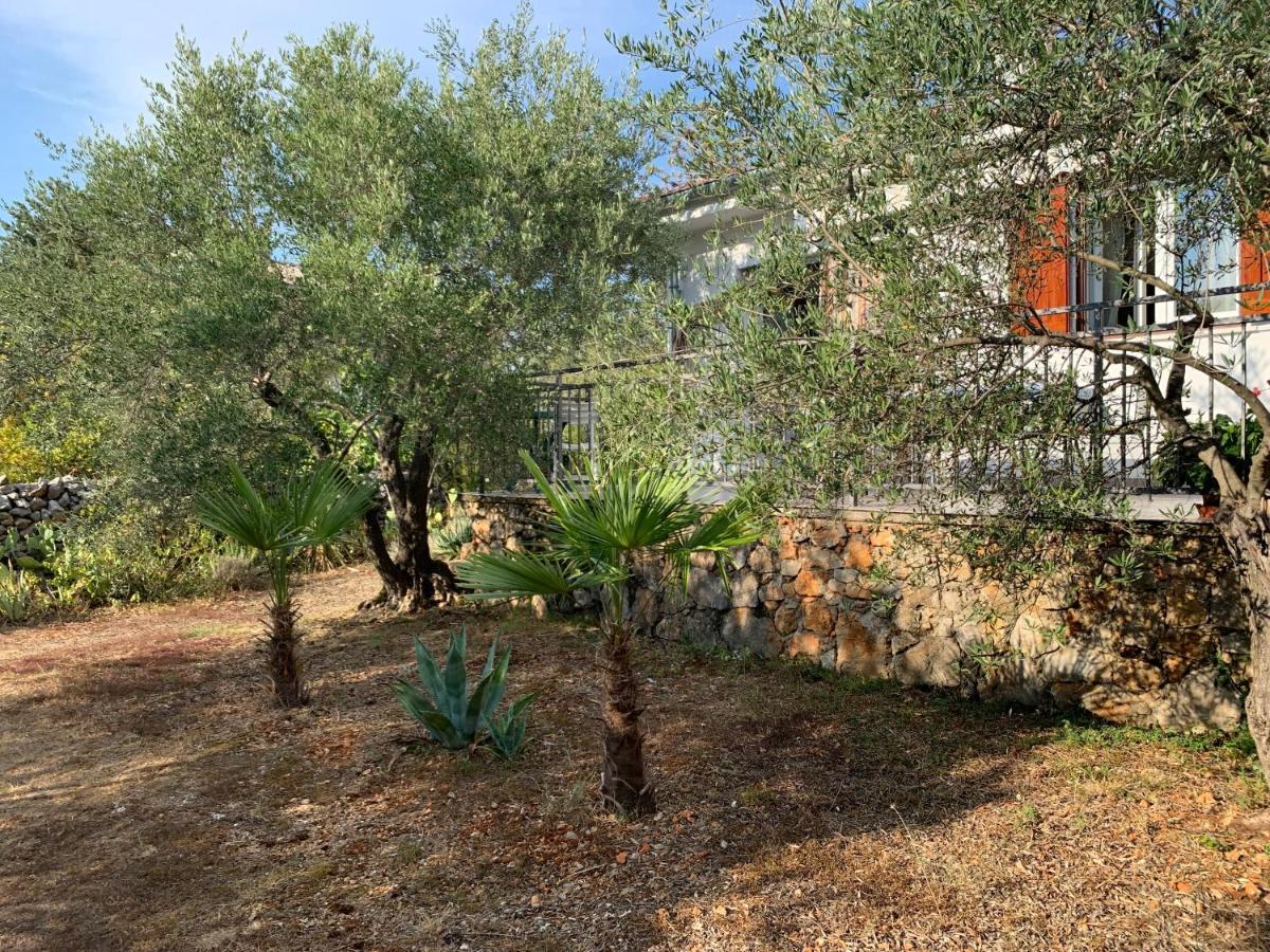 Apartman Ruza Brzac Exteriér fotografie